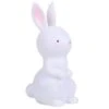 A Little Lovely Company Night Light Bunny