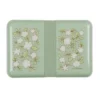 A Little Lovely Company Lunch Box Bloesems Saliegroen